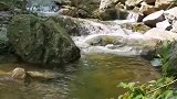 泉水叮咚响