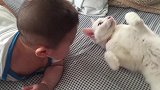 宝宝和猫，你看看我我看看你，随后的画面太有爱了