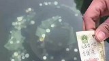 男子将愿望写在现金上，并将现金放入许愿池