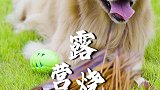 远离城市的喧嚣，生活有时候就该让自己慢下来