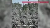 福州长乐一公园银装素裹如同“雪景”，专家：是鸟的粪便