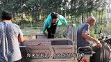 小姑子没打电话回娘家，嫂子和奶奶在干啥？看到奶奶不是滋味