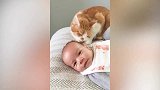 猫咪对宝宝很宠爱啊，宝宝也觉得很幸福，这不就很好嘛！