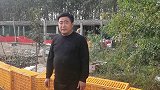 种鹅产蛋异常脱肛？这样的种鹅该淘汰了，猛补豆粨的恶性后果！