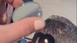 男子利用放大镜聚焦，成功捉弄到朋友