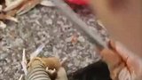 这样敲真的不会伤到吗