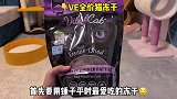 给小奶猫起名字 没想到大聪明竟然是小老六？？哈哈哈哈哈哈哈 沙雕 猫咪的迷惑行为 小奶猫 家有傻猫 主食冻干