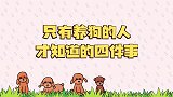 只有养狗的人才知道的4件事，当铲屎官原来这么幸福！