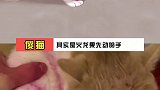 什么火龙果啊，我不叽到阿～