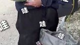 当徒步30公里后，筋疲力尽的你，看到队友从包里掏出了13斤的西瓜……网友：谁懂这一口瓜的含金量