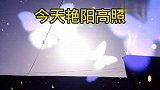 雨中鸟大爷接小花，我带儿子去吃麦当劳，感觉现在的小孩太幸福了