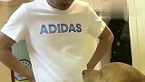 金毛轮胎又向妈妈打小报告，把爸爸藏了250元私房钱给说了