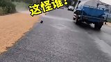 马路上晒东西，遇到洒水车