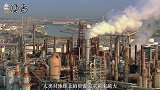 鲸鱼是对抗全球变暖的小能手？科学家：一鲸相当于20亿棵树！