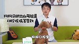 训犬师解惑：给狗刷牙出血了，是牙刷太硬了吗？