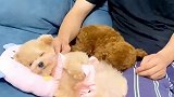 他说明明知道人家睡觉不该打扰