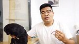 巴哥驱虫不用愁，一张图解决驱虫难题