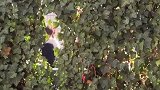 这是什么视角...德国队主帅克洛普今日现身拜仁训练基地
