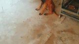 准备吃狗肉了