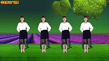 广场舞《藏爱》王馨演唱歌好听舞好看，32步附背面教学