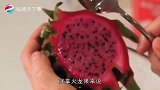 火龙果吃完了，果皮别急着扔，放家里还有妙用，一年能省下几百块