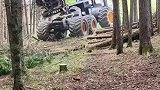 德国伐木工人上山砍树