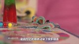 老外发明专治苍蝇的“枪”食盐做子弹，苍蝇都被打崩溃了