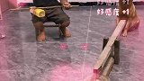狗狗和主人合奏演出，网友还挺喜庆的