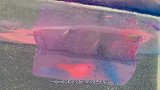如何给iPhone手机染色？奇葩老外亲自测试，成品太精美了