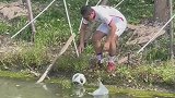 好不容易捡到球又掉进河里