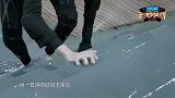 王牌对王牌：这个是踏洗衣液上台的游戏吗,太搞笑啦