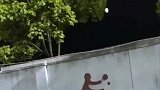 对面是条河，她在跟谁玩