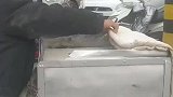 大爷为朋友担保被坑，街头卖烤红薯还债
