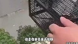 看你是一条生灵，我不忍心伤害你，你走吧，我祝你前程似锦