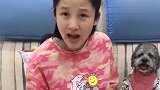 萌宠：男女主人骂架，泰迪看女主占下风，它立马帮着女主骂男主！