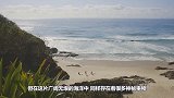 游客在海边游泳，发现有一团黑影逼近，人们吓得连忙爬上岸
