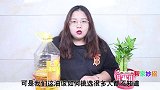 买食用油，遇到这4种别买回家，家里有也别拿来炒菜，看完记心上