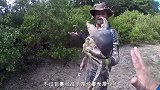 男子在清理自家后院时，发现奇怪洞穴，出来的东西令他脸色大变