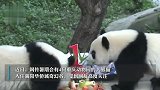 重庆动物园辟谣租借大熊猫：并无计划及工作安排