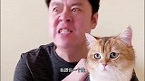 祝晓晗惨遭老爸整蛊，真是可怜了，老爸威武