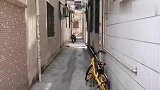 广东东莞：东莞兰厦四巷，你来过这里吗