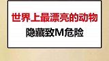 有没有想到一句话漂亮的女人都很危险？动物成精