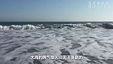 鲸鱼搁浅海滩，结果被关公蟹盯上了，几分钟后场面堪称壮观！