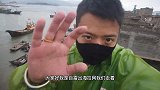 生猛海鲜千万种，赶海捕鱼抓到海怪，我也是第一次见
