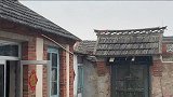 小黄出息了，终于找到了老婆，但你作为一只公猫，为啥在下面！