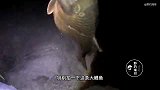东莞发现一处钓鱼胜地，几十亩山体水库已放几百斤鱼，关键免费钓