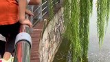 瞎猫碰上死耗子法，让旁边坐了一中午头的大爷情何以堪