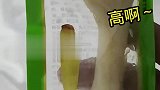 还好鸡爪不是画的