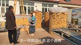 小凯第一次见准岳父，临走时准岳父却搬着木头送女婿，发生了啥事