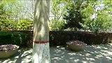 这个季节，逛公园真是最佳选择